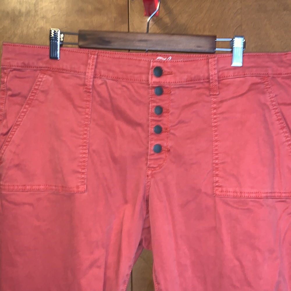 EUC Women’s rust colored soft jean-like pants - size 18/34R